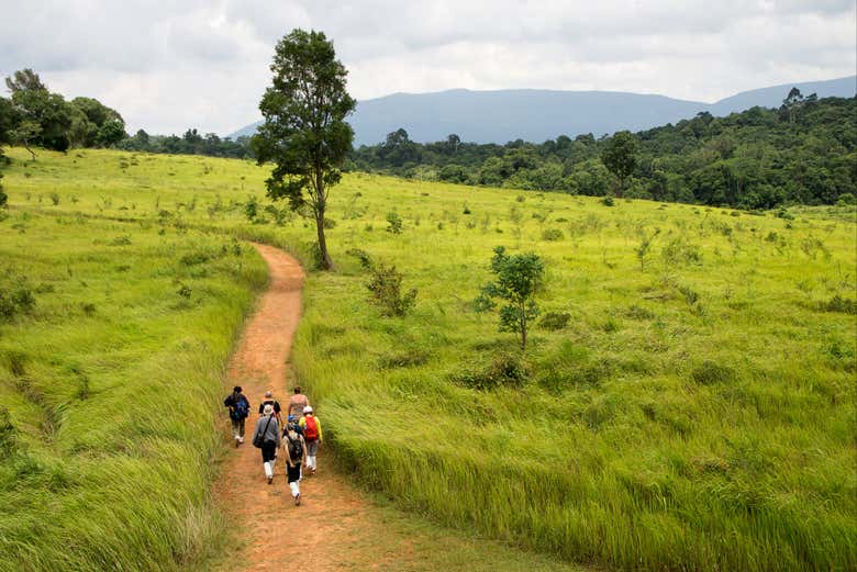 Randonnée dans le parc national de Khao Yai